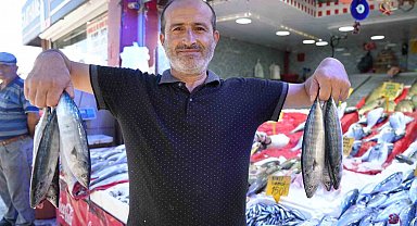 Yıllardır böylesi görülmedi: Karadeniz'den palamut fışkırıyor