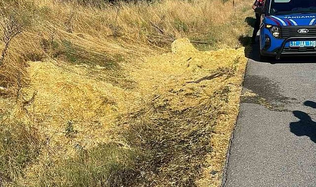 Yol kenarına atılan sigara izmariti yangına neden oldu