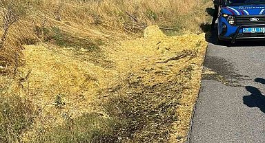 Yol kenarına atılan sigara izmariti yangına neden oldu