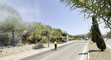 Yol kenarında başlayan yangın ormana sıçradı, ekiplerin müdahalesiyle söndürüldü