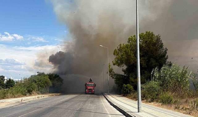 Yol kenarından başlayan yangın otel bahçesinde kontrol altına alındı