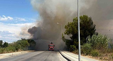 Yol kenarından başlayan yangın otel bahçesinde kontrol altına alındı