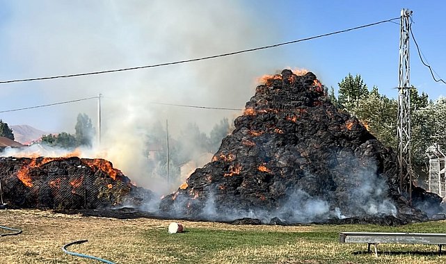Yüksekova'da 6 bin 500 bağ ot kül oldu