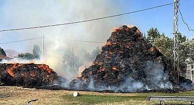 Yüksekova'da 6 bin 500 bağ ot kül oldu