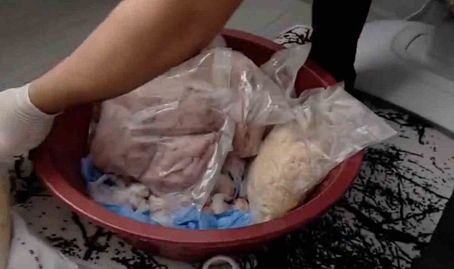 1 ton 958 kiloluk bonzai operasyonu: 2 şüpheli tutuklandı