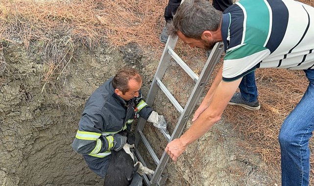 10 metre derinliğindeki kuyuya düşen köpeği itfaiye kurtardı