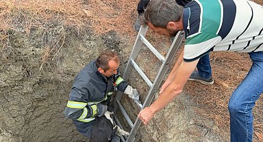 10 metre derinliğindeki kuyuya düşen köpeği itfaiye kurtardı