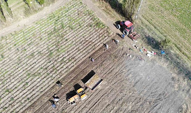 2027 üretim yılı ÇKS başvuruları devam ediyor