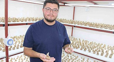 'Kayseri'de yetişmez' denildi, girişimci başardı