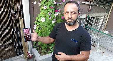 800 bin TL'lik güvercinlerini 24 saat kamera, çelik kapı ve kurtla koruyor