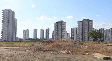 Adana'da cırcır böceği sesleri vatandaşları uyutmuyor