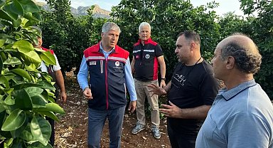 Adana'da dolu vuran tarım arazilerinde incelemeler başladı