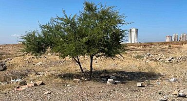 Adana'da genç şahıs boş arazide ölü bulundu