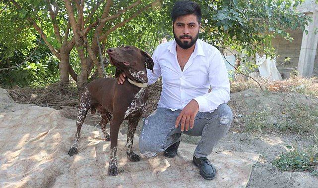 Adana'da köpeğe sopayla şiddet güvenlik kamerasında