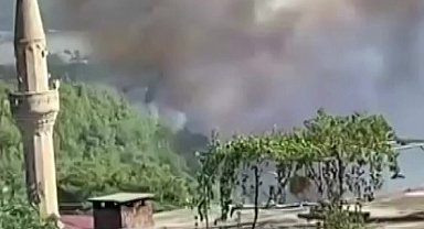 Adana'da orman yangını
