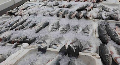Adana'da sıcak havalar balık satışlarını düşürdü