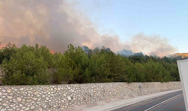 Adana'daki orman yangını kontrol altında
