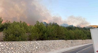 Adana'daki orman yangını kontrol altında