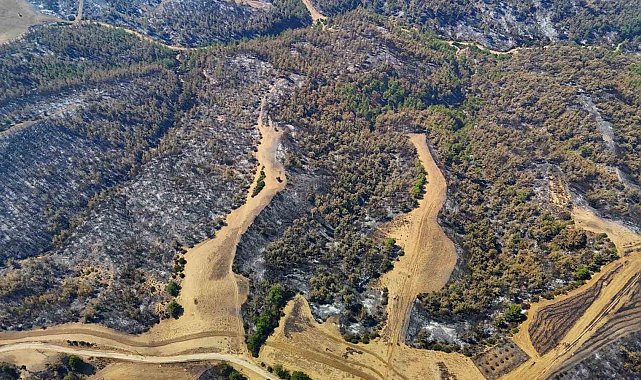 Adana'daki yangında binlerce hektar alan küle döndü