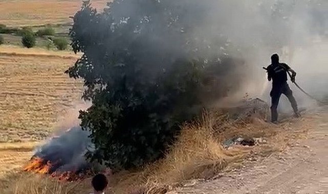 Adıyaman'da bahçe yangını paniğe neden oldu