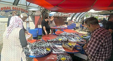 Afyonkarahisar'da balıkçı tezgahlarında hareketlilik başladı