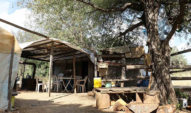 Ağaç keserek ve naylon çadırda ders çalışarak tıp fakültesini kazandı