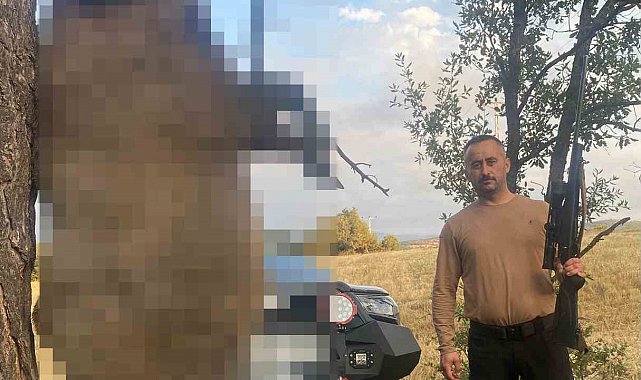 Akdağmadeni'nde yaklaşık yarım tonluk dev yaban domuzu öldürüldü