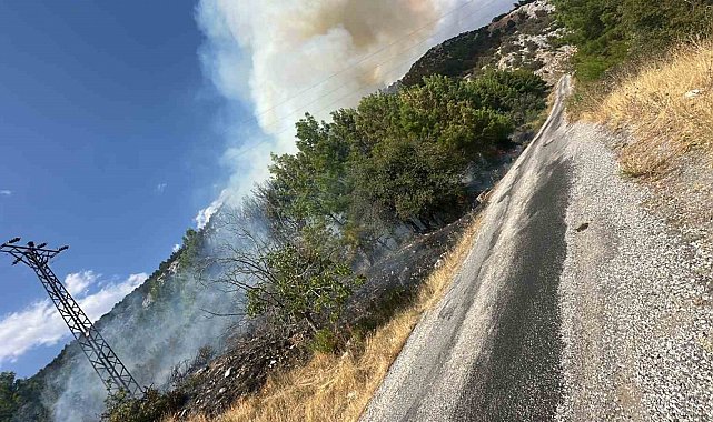 Akseki'de orman yangını
