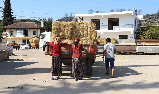 Aksu'da yangından etkilenen bölgelere saman desteği