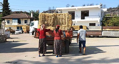 Aksu'da yangından etkilenen bölgelere saman desteği