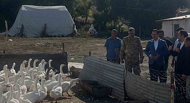 Akyaka'da kaz yetiştiriciliğine yakın takip