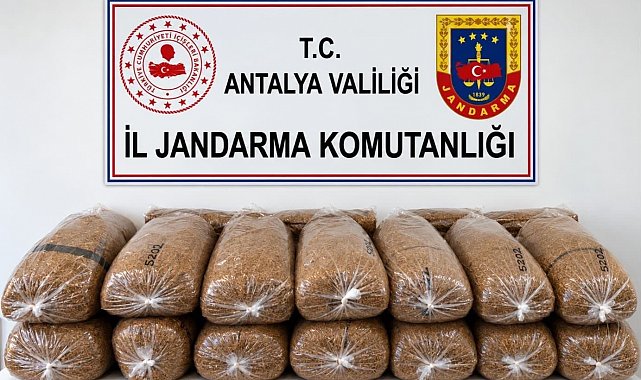 Alanya'da 144 kilo kaçak tütün ele geçirildi