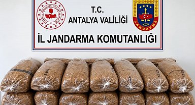 Alanya'da 144 kilo kaçak tütün ele geçirildi