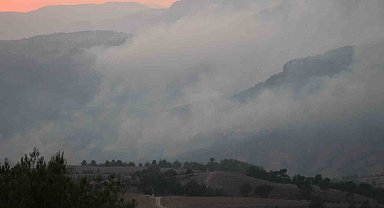 Alevler yerleşim yerine kadar yaklaştı, ekipler önledi