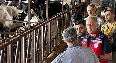 Altınözü'nde hastalıktan ari işletme sayısının artırılması için çalışma yürütülüyor