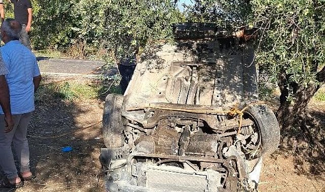 Altınözü'nde otomobil zeytinliğe uçtu: 1 yaralı