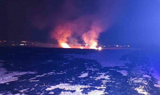 Anız yangını korkuttu