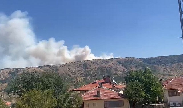 Ankara-Çankırı sınırında orman yangını