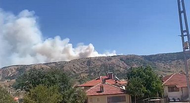 Ankara-Çankırı sınırında orman yangını