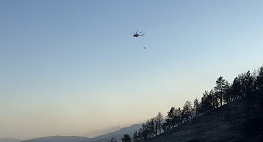 Ankara-Çankırı sınırındaki orman yangını 60 personel ve 14 aracın müdahalesiyle söndürüldü