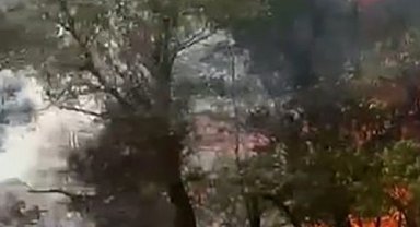 Ankara'da elektrik direğinden çıkan yangın kontrol altına alındı
