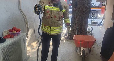 Antakya'da eve giren yılan ekipler tarafından yakalandı