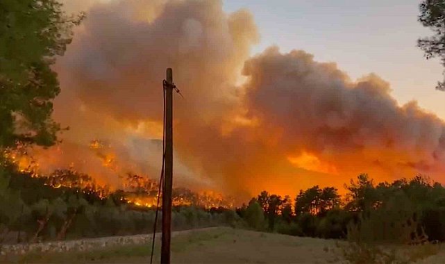 Antalya Aksu'da orman yangını