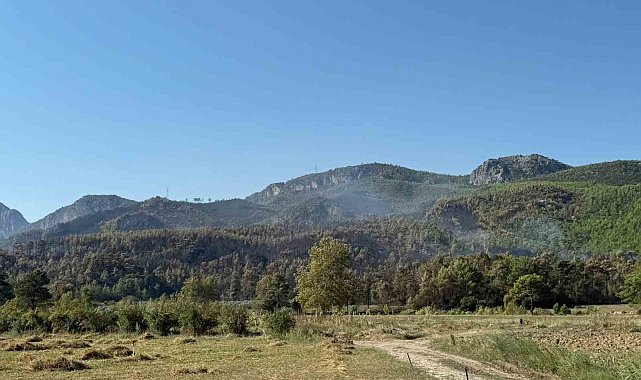 Antalya Serik'teki yangın büyük oranda kontrol altına alındı