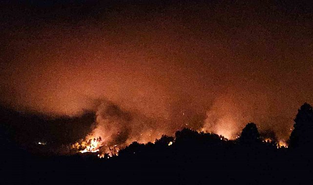 Antalya Serik'teki yangının enerjisi düşürüldü