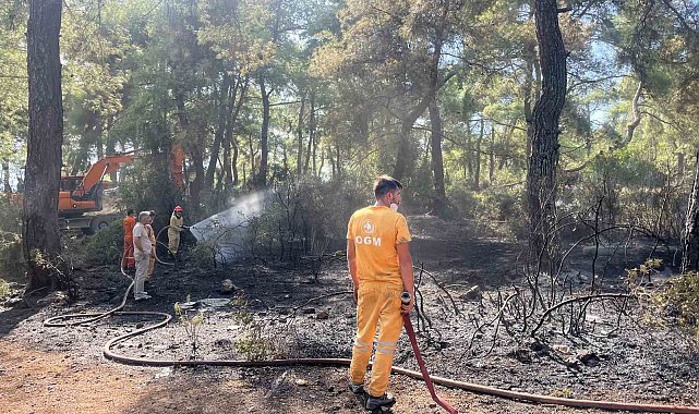 Antalya'da çıkan orman yangın kontrol altına alındı