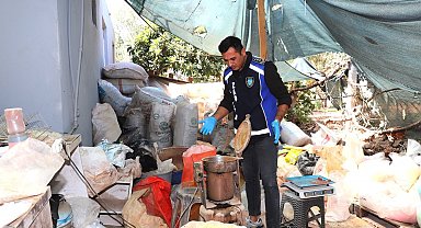 Antalya'da merdiven altı işletmeye denetim: Yarım ton keçiboynuzuna el konuldu