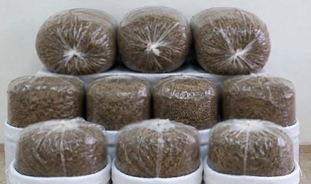 Antalya'da üç ilçede kaçak tütün operasyonu: 400 kilogram tütün ele geçirildi
