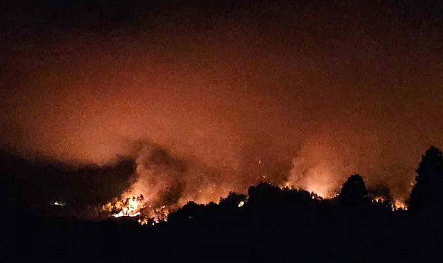 Antalya'daki yangını söndürme çalışmaları sürüyor