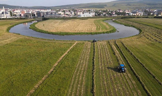 Ardahan'da hasat mesaisi havadan görüntülendi